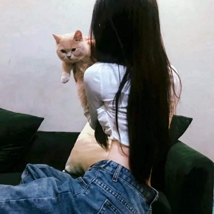 猫狗大战3：爪爪集结！海报